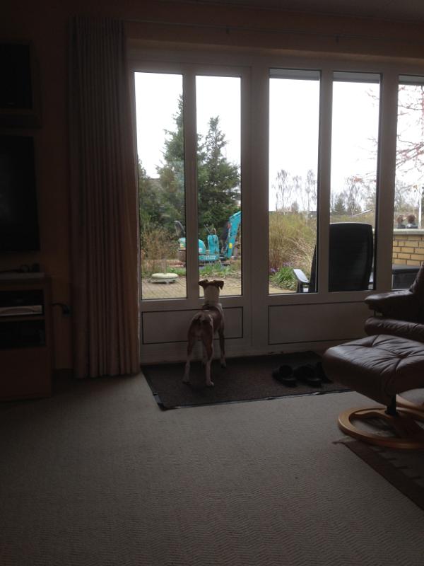 Lyda og minigraveren