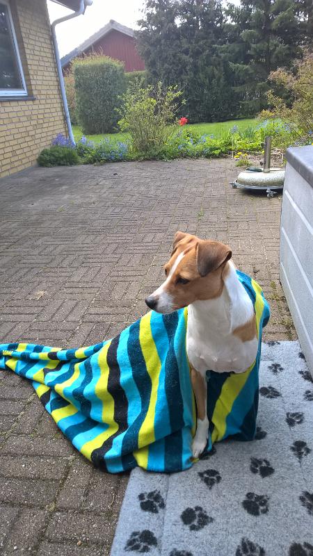 WP 20160503 10 51 56 Pro